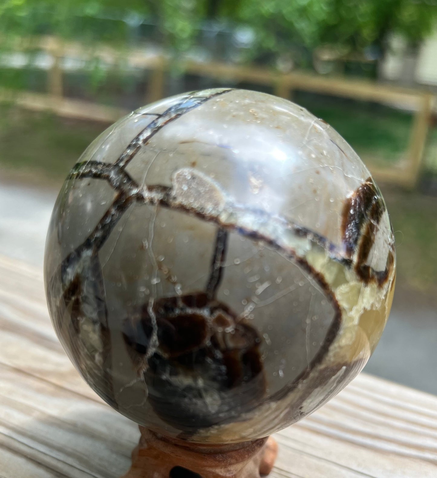 Septarian sphere