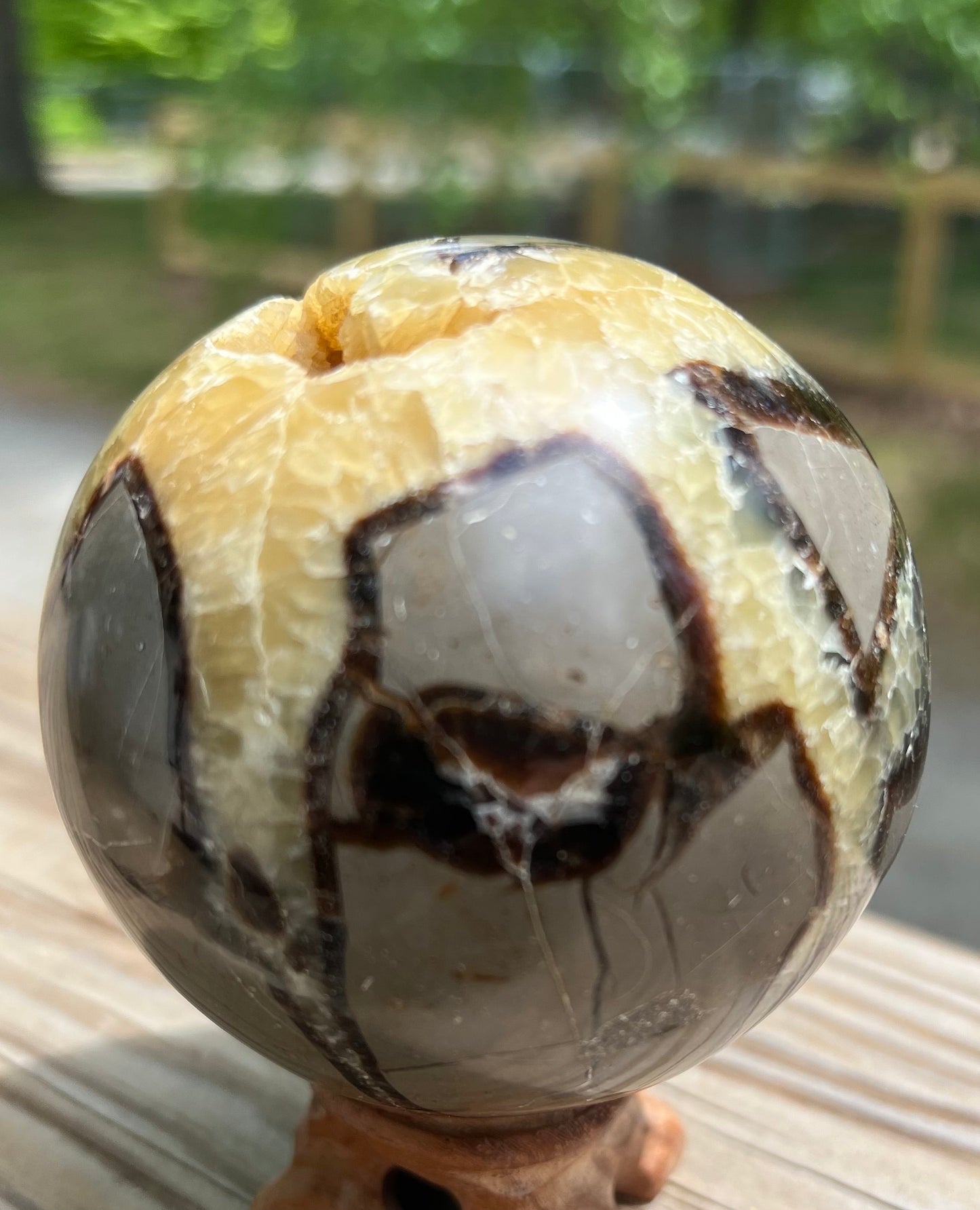 Septarian sphere