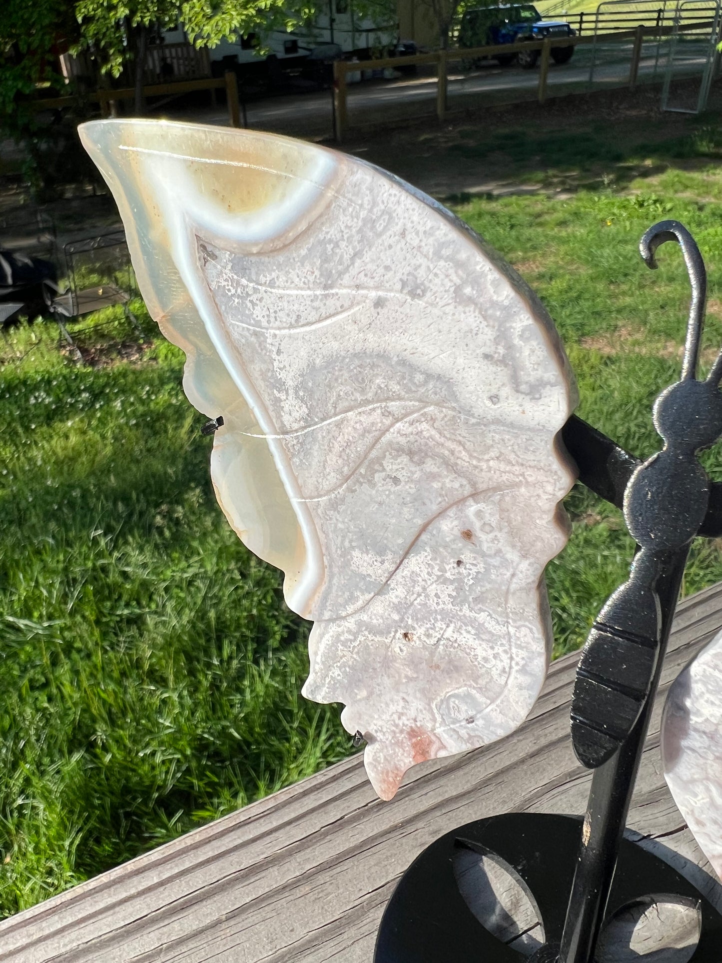 Chalcedony, Pink Agate butterfly wings