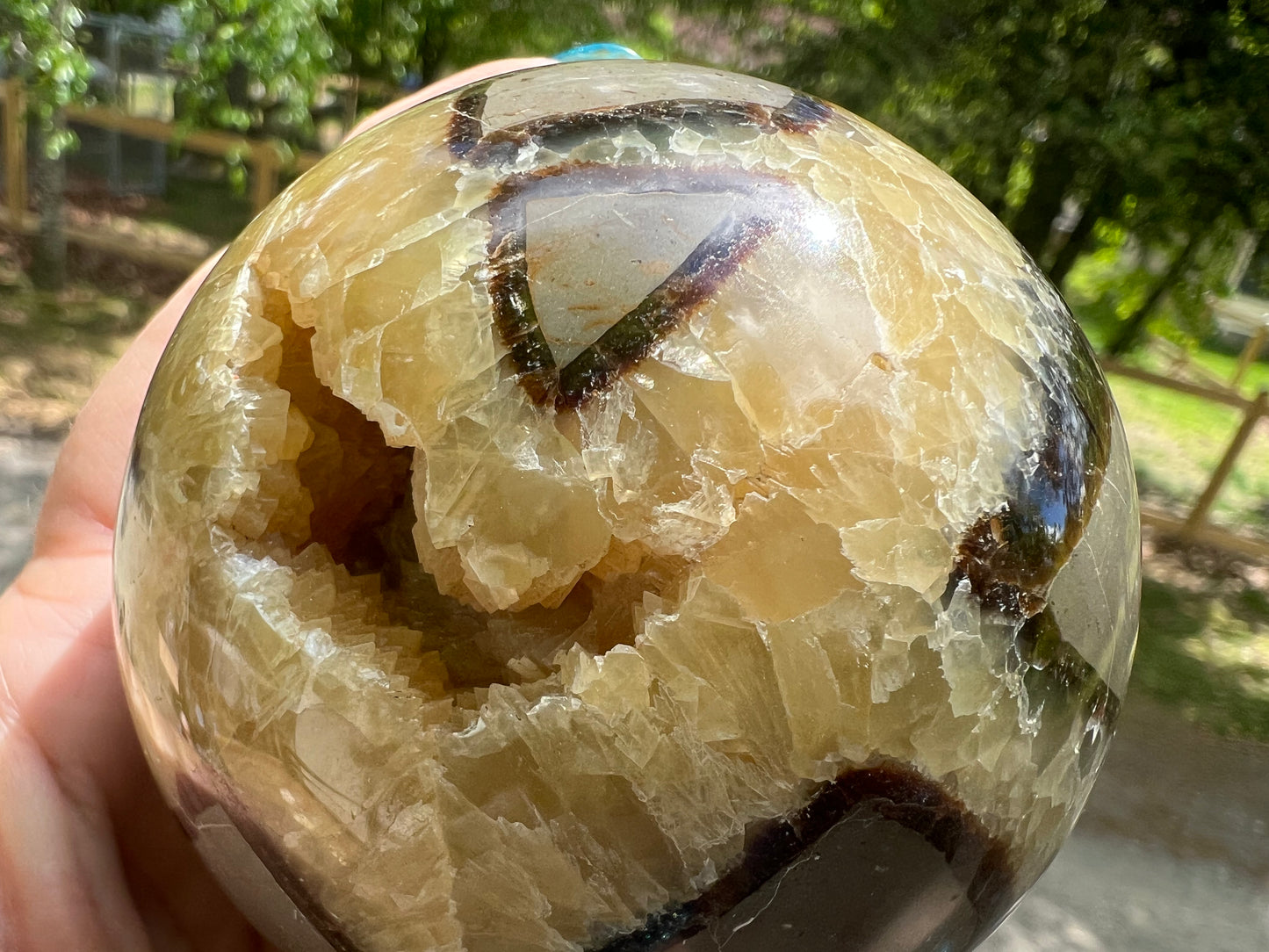 Septarian sphere