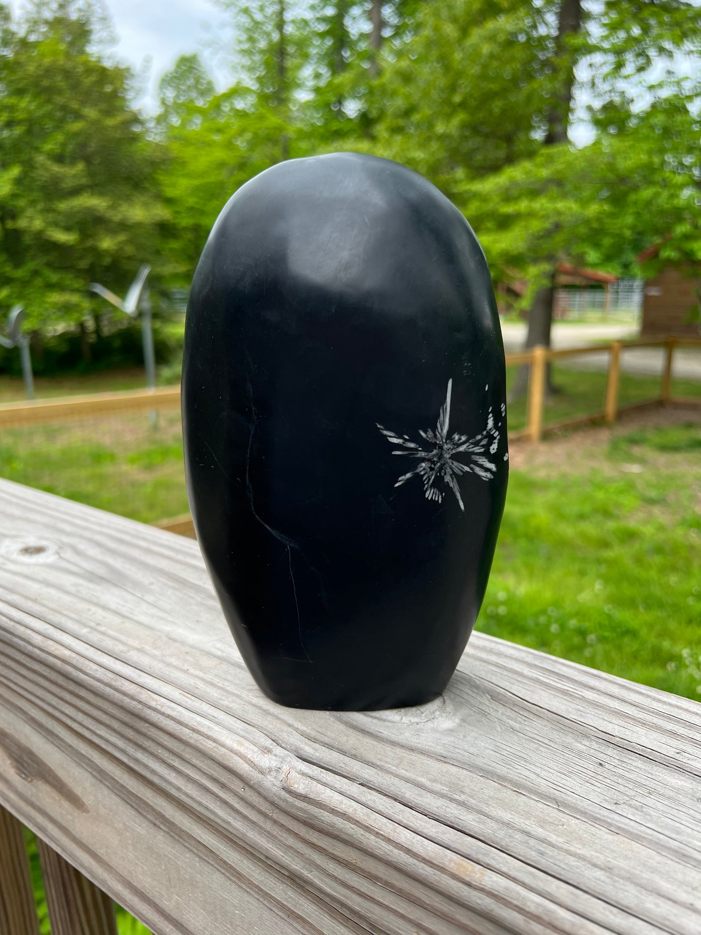 Chrysanthemum Stone - XXL Freeform