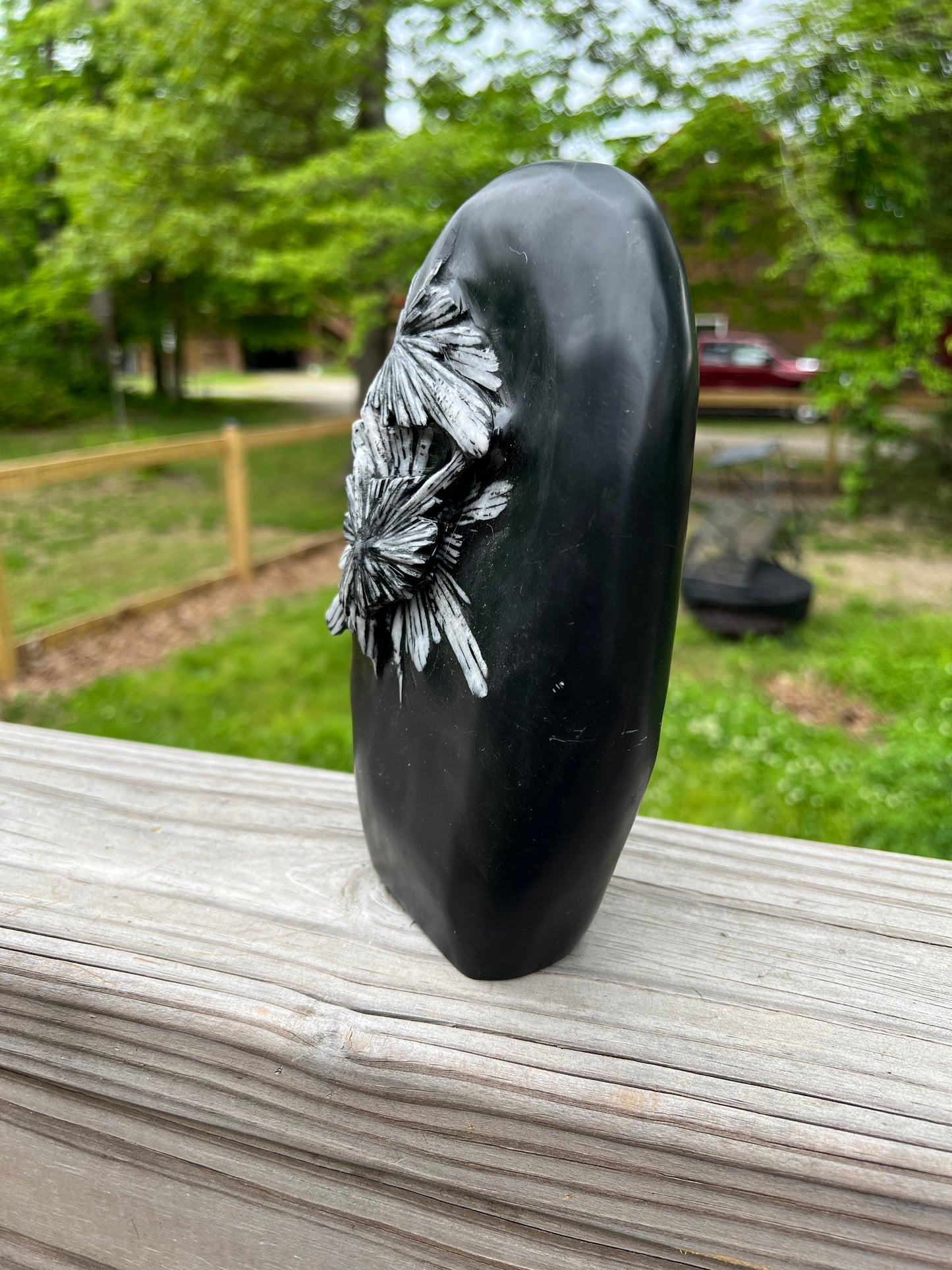 Chrysanthemum Stone - XXL Freeform