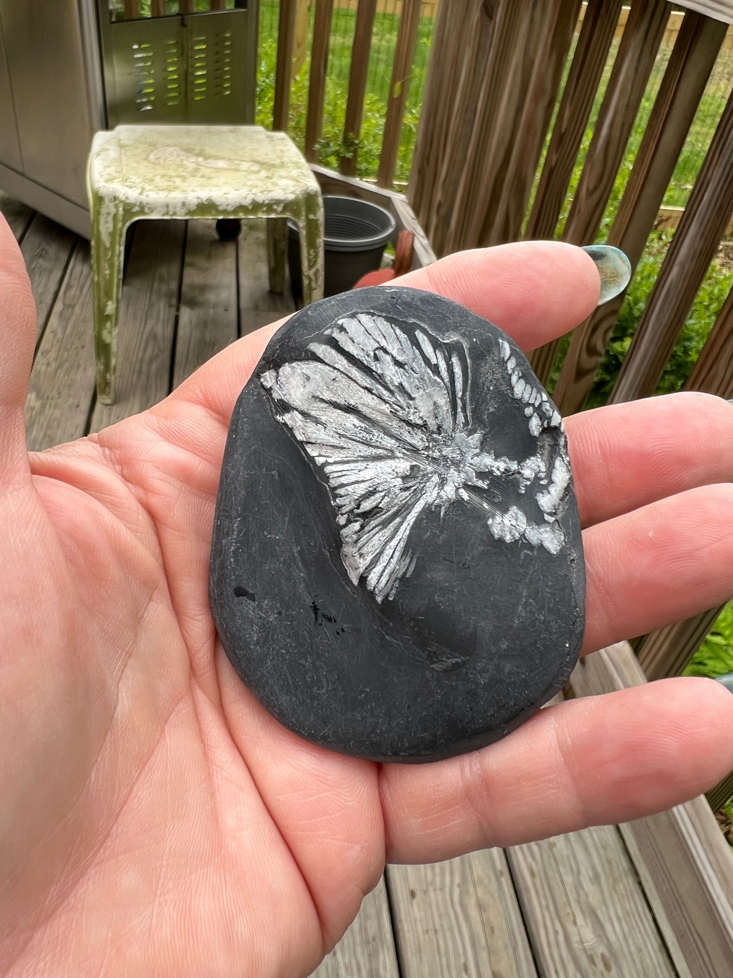 Chrysanthemum Stone