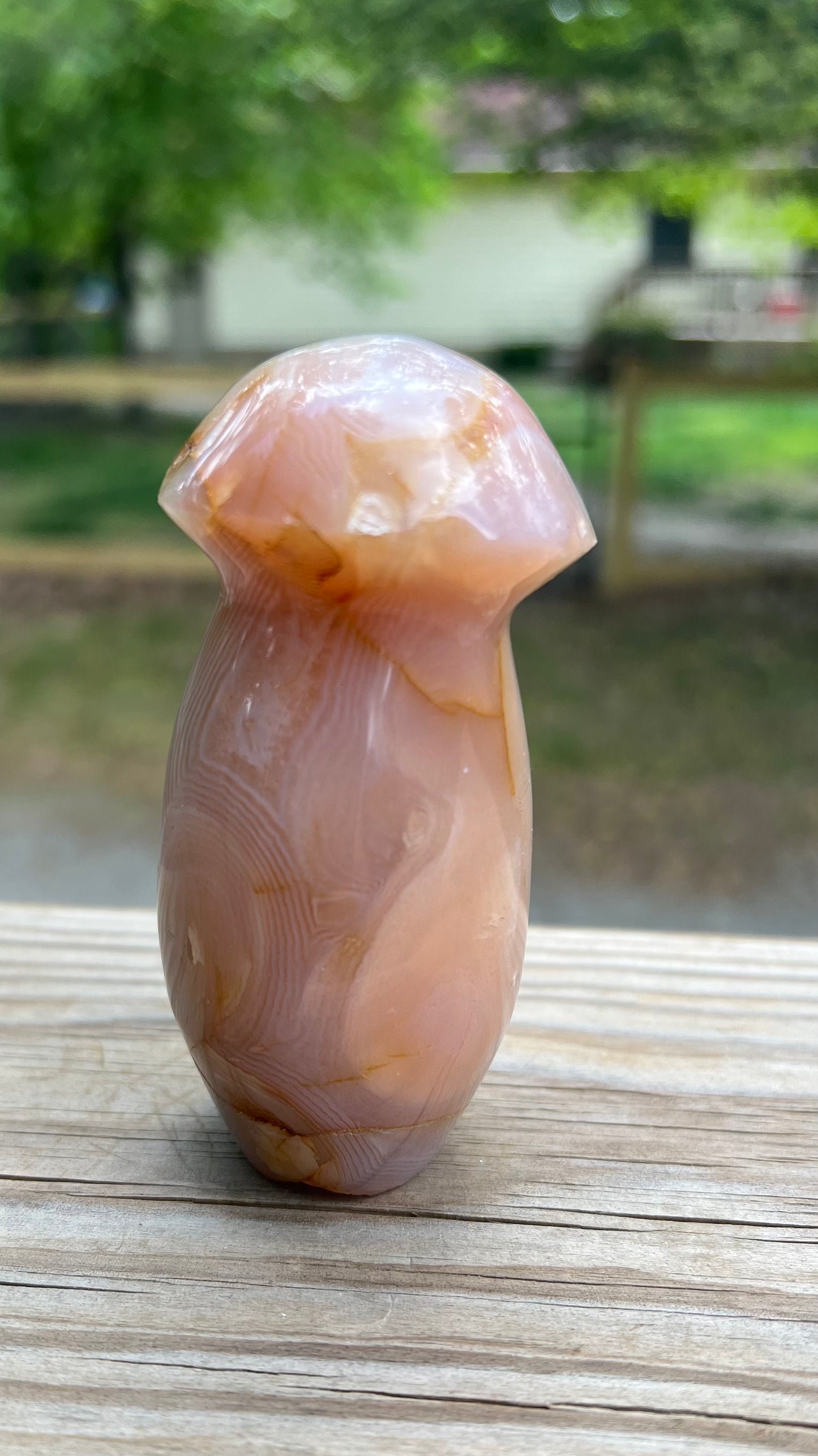 Mushroom Carving, Agate, Imperfect