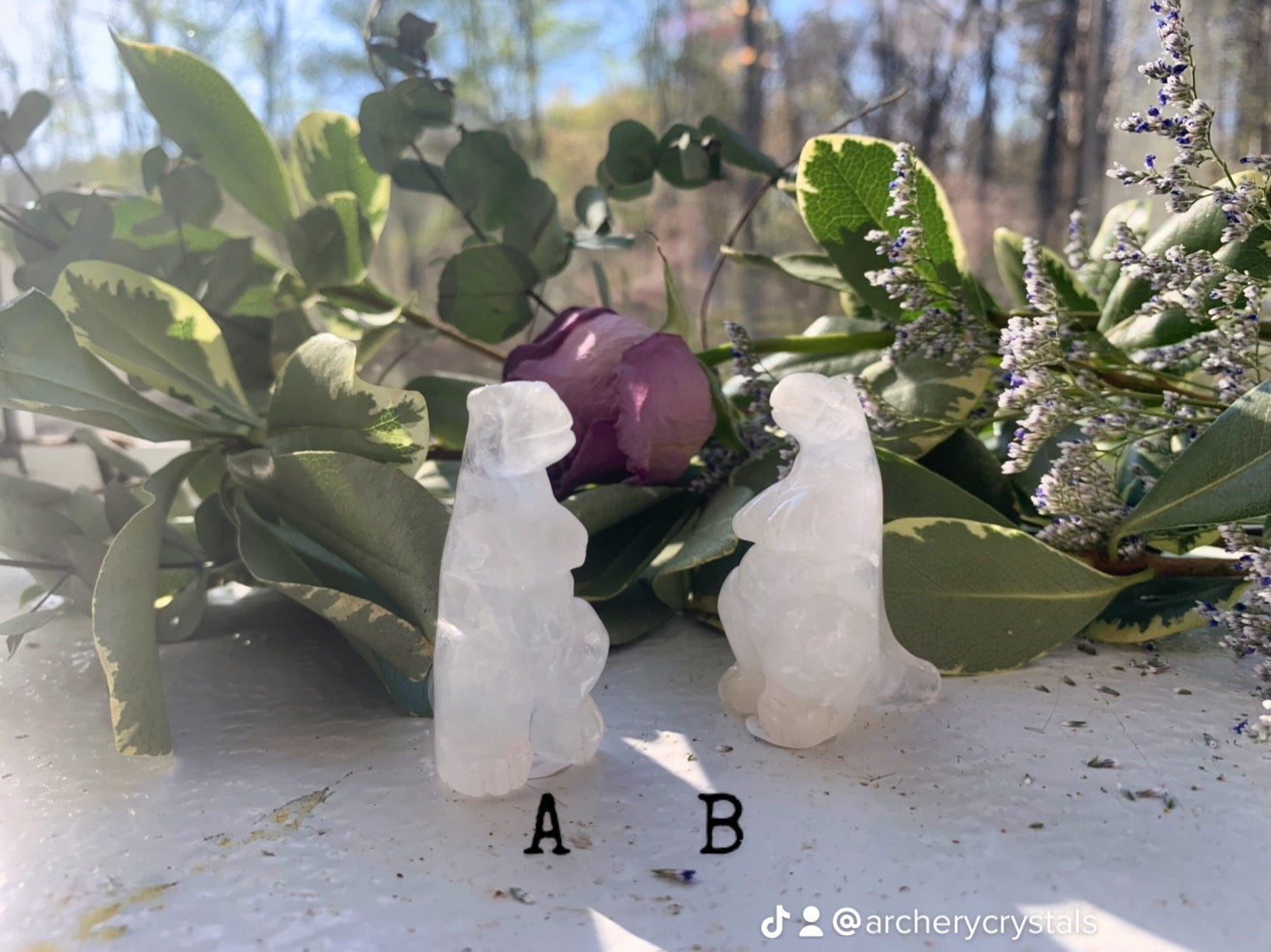 Dinosaur Carvings - Moss Agate and Clear Quartz