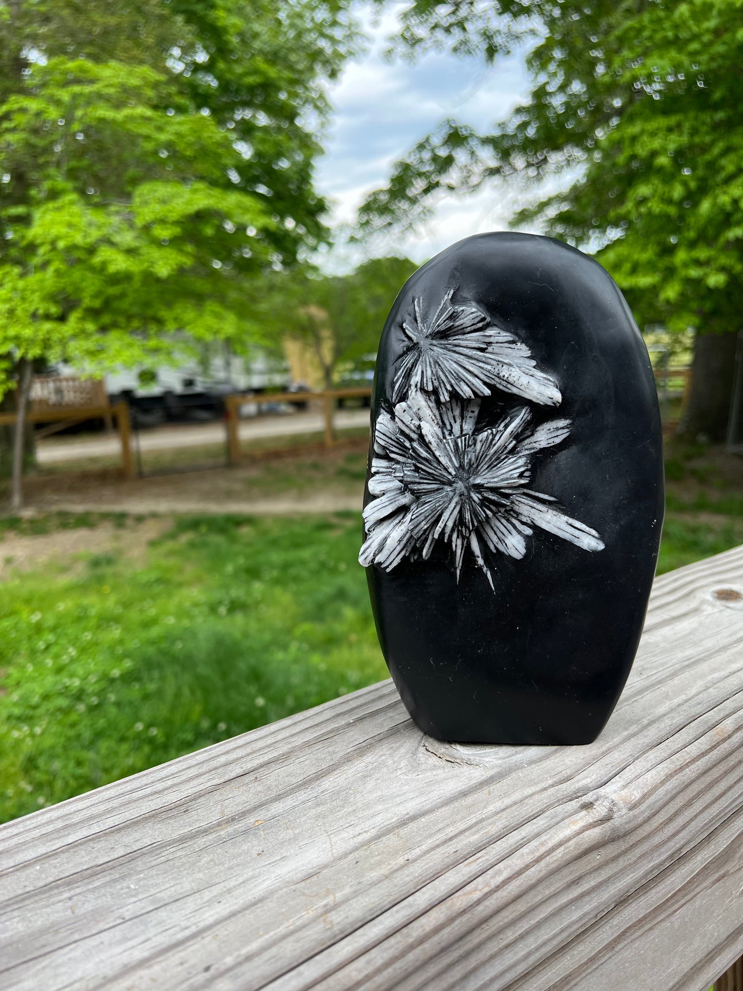 Chrysanthemum Stone