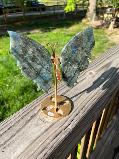 Labradorite Butterfly Wings with stand